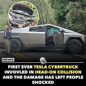 Image post by @einsteinfeed on Instagram