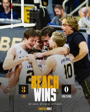 Image post by @lbsumvb on Instagram