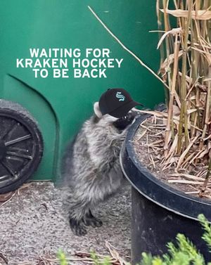 Image post by @seattlekraken on Instagram