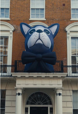 Video post by @jomalonelondon on TikTok