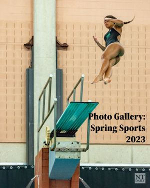 Image post by @ntdaily on Twitter