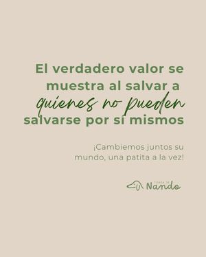 Image post by @tierradenando on Instagram
