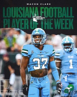 Image post by @greenwavefb on Instagram