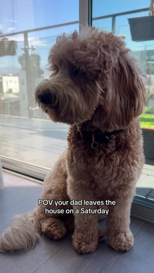 Video post by @tedflixnchill on TikTok