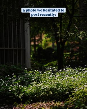 Image post by @pennstate on Instagram