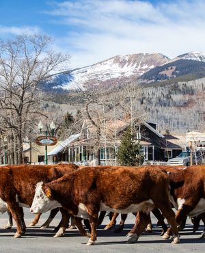 Image post by @skicrestedbutte on Instagram