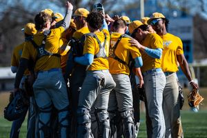 Image post by @LIU_Baseball on Twitter