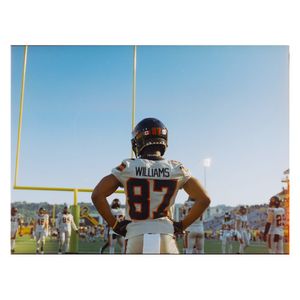 Image post by @vizbyliam on Instagram