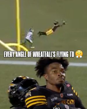 Image post by @hamiltontigercats on Instagram