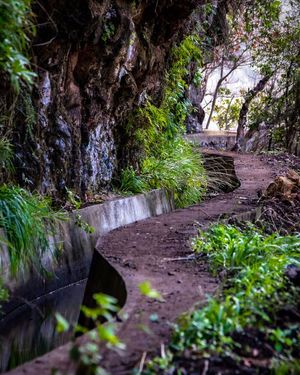 Image post by @cristan.nature.photography on Instagram