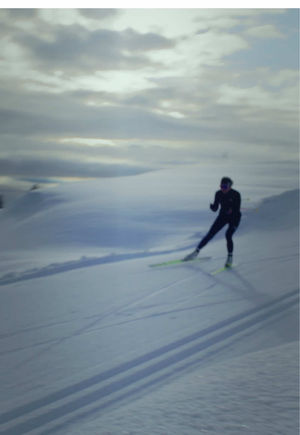 Video post by @thenorthface on TikTok
