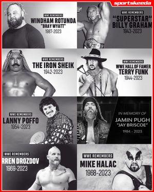 Image post by @SKWrestling_ on Twitter
