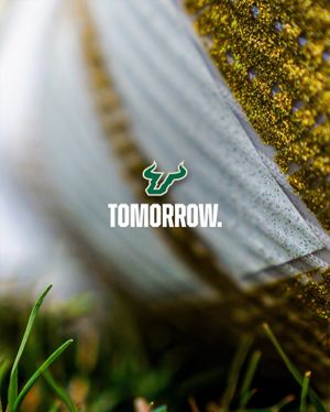 Image post by @usffootball on Instagram