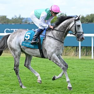 Image post by @britishchampionsday on Instagram