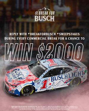 Image post by @BuschBeer on Twitter