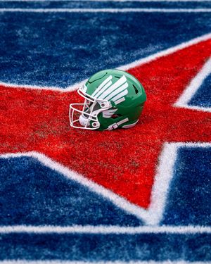 Image post by @meangreenfb on Instagram