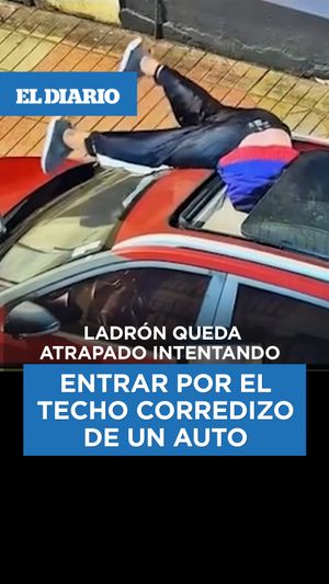 Image post by @eldiariony on Instagram