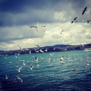 Image post by @volkanbiber on Instagram
