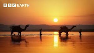 Video post by @bbcearth on YouTube