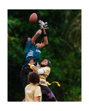 Image post by @sdschoolphotography on Instagram