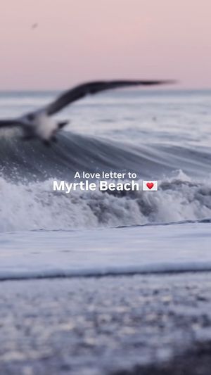 Video post by @visitmyrtlebeach on TikTok