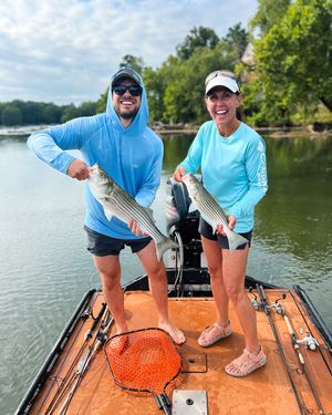 Image post by @auskoo on Instagram