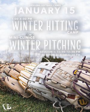 Image post by @lipscomb_sb on Instagram