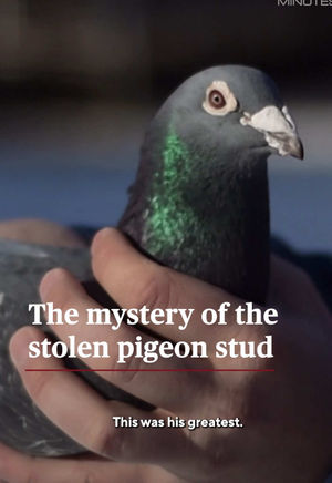 Video post by @60minutes on TikTok