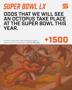 Image post by @sportsinteraction on Instagram
