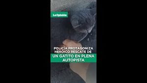 Video post by @laopinionla on YouTube