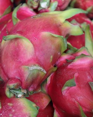Image post by @marissarodphotos on Instagram