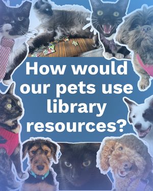 Image post by @stjohnscountylibrary on Instagram