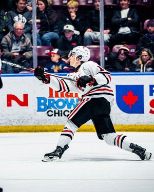 Image post by @ohlicedogs on Instagram