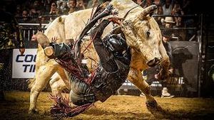 Video post by @pbr on YouTube