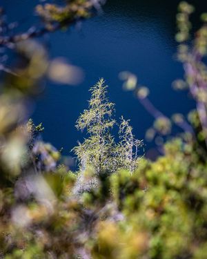 Image post by @cristan.nature.photography on Instagram