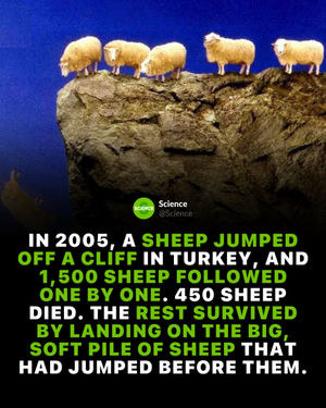 Image post by @science on Instagram