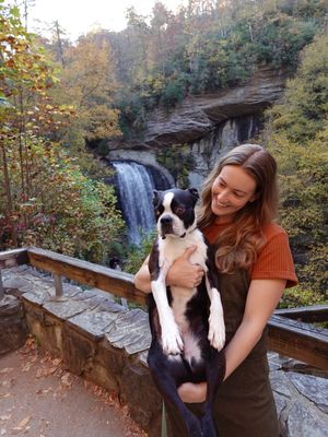 Image post by @mulliganthebostonterrier on Instagram