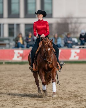 Image post by @fresnostateeq on Instagram