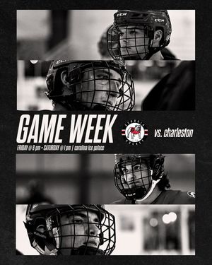 Image post by @ugahockeyd3 on Instagram