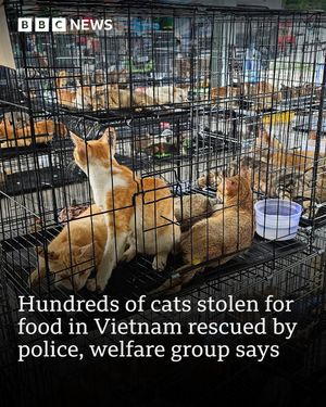 Image post by @bbcnews on Instagram