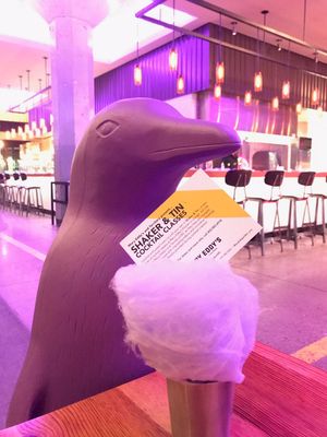 Image post by @TerritoryOKC on Twitter