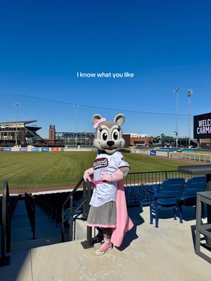 Video post by @gosquirrels on TikTok