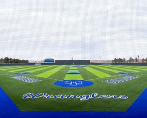 Image post by @RS3Turf on Twitter