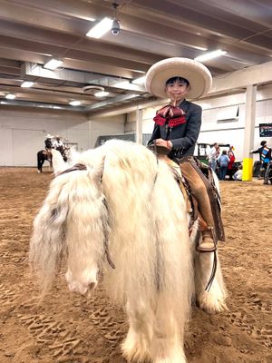 Image post by @nationalwestern on Instagram