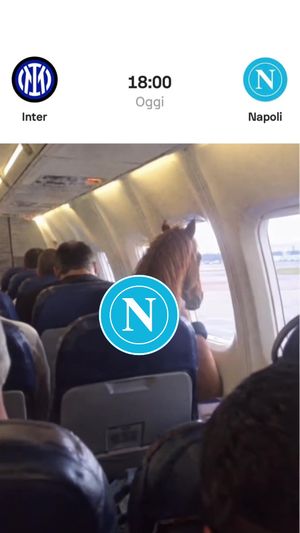 Video post by @sscnapoli on TikTok