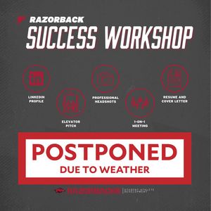 Image post by @RazorbackSADev on Twitter/X