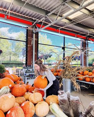 Image post by @samfordchiomega on Instagram