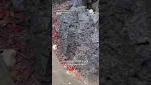 Video post by @accuweather on YouTube