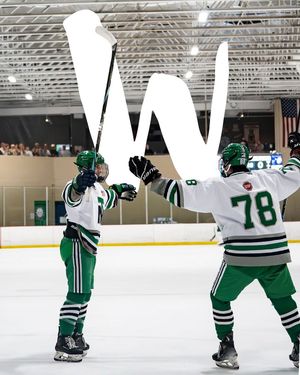 Image post by @ntghockey on Instagram