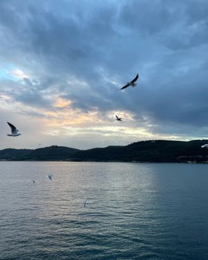 Image post by @samedell on Instagram